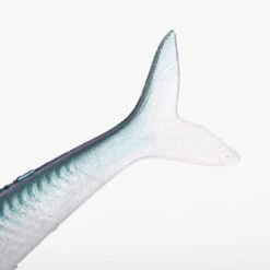 COMBO Leurres Souples Slug SLUGEELO 160 Ayu/Bleu -Pêche Vente Boutique combo leurres souples slug slugeelo 160 ayubleu 4