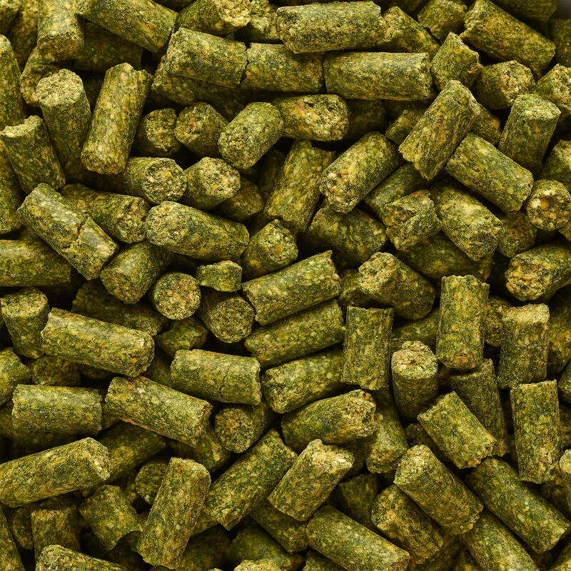 GOOSTER PELLET BABY CORN CHENEVIS EPICE 8MM 0,7KG POUR PECHER LA CARPE AU COUP 2 GOOSTER PELLET BABY CORN CHENEVIS EPICE 8MM 0,7KG POUR PECHER LA CARPE AU COUP – Image 2