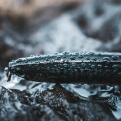 Poisson Nageur SAXTON 110F Mack Vert Pêche Au Leurre En Mer -Pêche Vente Boutique poisson nageur saxton 110f mack vert peche au leurre en mer 7